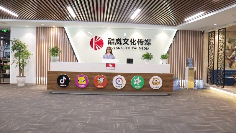 MG动画插画风定制，企业品牌新利器**